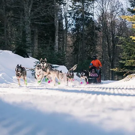 La Roseraie, Loft 3 Etoiles, Calme Et Ensoleille Au Pied Des Pyrenees * Bagnères-de-Bigorre