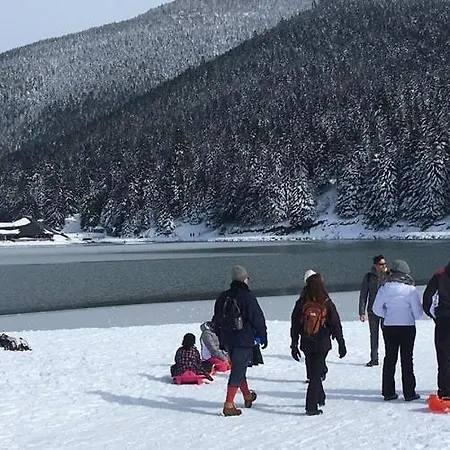 La Roseraie, Loft 3 Etoiles, Calme Et Ensoleille Au Pied Des Pyrenees *