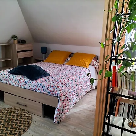 Pres Des Thermes De Bagneres De Bigorre, Loft 3 Etoiles, Colore Et Baigne De Lumiere Daire