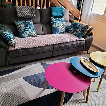 Résidence La Roseraie, loft 3 étoiles, calme et ensoleillé au pied des Pyrénées Appartement Bagnères-de-Bigorre