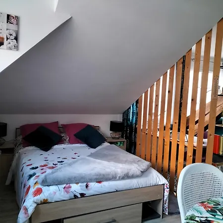 Pres Des Thermes De Bagneres De Bigorre, Loft 3 Etoiles, Colore Et Ensoleille * Баньер-де-Бигор