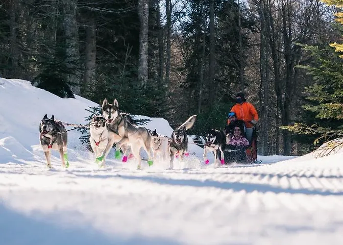 La Roseraie, Loft 3 Etoiles, Calme Et Ensoleille Au Pied Des Pyrenees * 巴涅尔德比戈尔