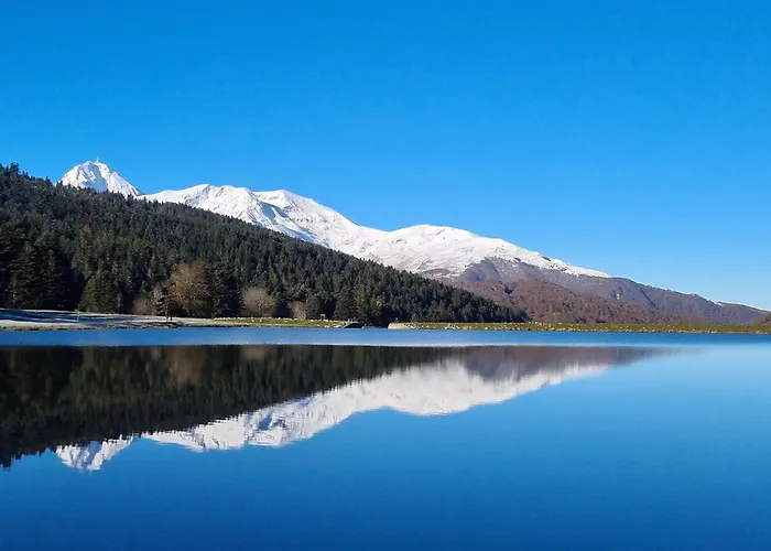 La Roseraie, Loft 3 Etoiles, Calme Et Ensoleille Au Pied Des Pyrenees *