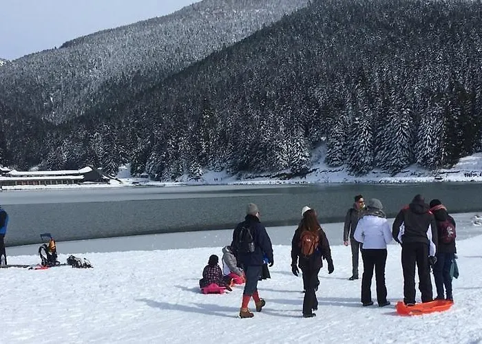 Résidence La Roseraie, loft 3 étoiles, calme et ensoleillé au pied des Pyrénées *
