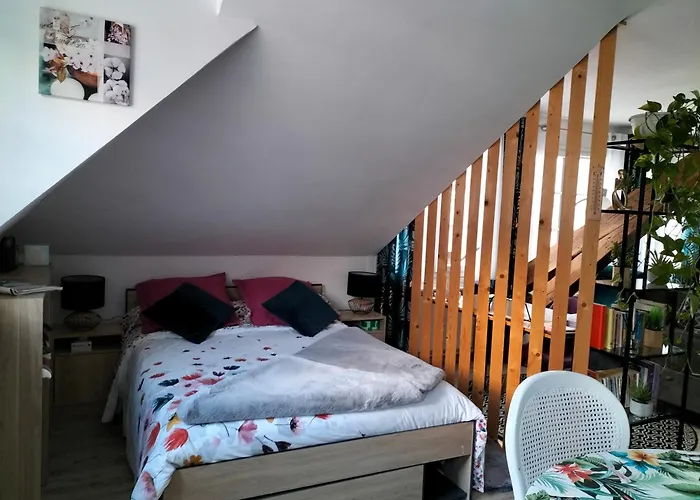 Pres Des Thermes De Bagneres De Bigorre, Loft 3 Etoiles, Colore Et Ensoleille * Баньер-де-Бигор